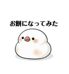 文鳥のスタイル（個別スタンプ：10）