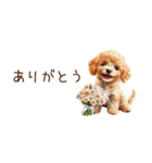 ちびトイプードルの小さいスタンプ（個別スタンプ：8）