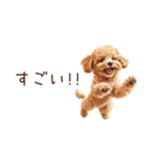 ちびトイプードルの小さいスタンプ（個別スタンプ：17）