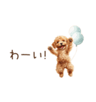 ちびトイプードルの小さいスタンプ（個別スタンプ：22）