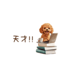ちびトイプードルの小さいスタンプ（個別スタンプ：31）