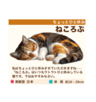 架空猫にゃんこ図鑑（個別スタンプ：4）