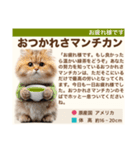 架空猫にゃんこ図鑑（個別スタンプ：5）