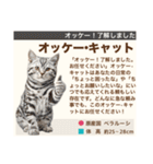 架空猫にゃんこ図鑑（個別スタンプ：7）