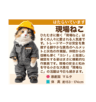 架空猫にゃんこ図鑑（個別スタンプ：12）