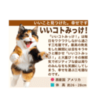 架空猫にゃんこ図鑑（個別スタンプ：15）