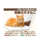 架空猫にゃんこ図鑑（個別スタンプ：16）