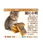 架空猫にゃんこ図鑑（個別スタンプ：20）