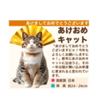 架空猫にゃんこ図鑑（個別スタンプ：23）
