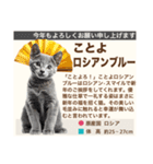 架空猫にゃんこ図鑑（個別スタンプ：24）