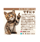 架空猫にゃんこ図鑑（個別スタンプ：26）