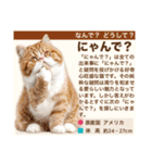 架空猫にゃんこ図鑑（個別スタンプ：30）