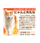 架空猫にゃんこ図鑑（個別スタンプ：31）