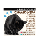 架空猫にゃんこ図鑑（個別スタンプ：34）