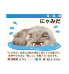 架空猫にゃんこ図鑑（個別スタンプ：35）