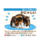 架空猫にゃんこ図鑑（個別スタンプ：36）