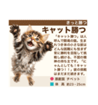 架空猫にゃんこ図鑑（個別スタンプ：38）