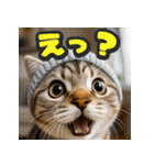 大接近！リアル猫（個別スタンプ：3）