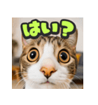 大接近！リアル猫（個別スタンプ：4）