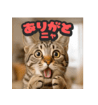 大接近！リアル猫（個別スタンプ：5）