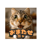 大接近！リアル猫（個別スタンプ：9）