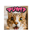 大接近！リアル猫（個別スタンプ：14）