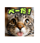 大接近！リアル猫（個別スタンプ：15）