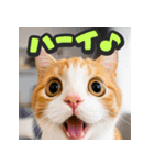 大接近！リアル猫（個別スタンプ：16）