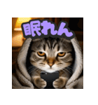 大接近！リアル猫（個別スタンプ：17）
