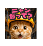大接近！リアル猫（個別スタンプ：21）