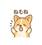 こねむりコーギー まどろみ日和（個別スタンプ：1）