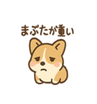 こねむりコーギー まどろみ日和（個別スタンプ：5）
