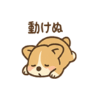 こねむりコーギー まどろみ日和（個別スタンプ：9）