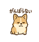 こねむりコーギー まどろみ日和（個別スタンプ：11）