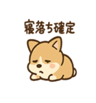 こねむりコーギー まどろみ日和（個別スタンプ：13）
