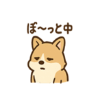 こねむりコーギー まどろみ日和（個別スタンプ：14）