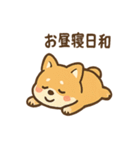 こねむりコーギー まどろみ日和（個別スタンプ：35）