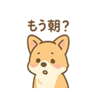 こねむりコーギー まどろみ日和（個別スタンプ：36）
