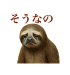 ナマケモノの日常生活（個別スタンプ：2）