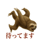 ナマケモノの日常生活（個別スタンプ：5）