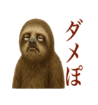 ナマケモノの日常生活（個別スタンプ：10）