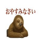 ナマケモノの日常生活（個別スタンプ：13）