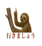 ナマケモノの日常生活（個別スタンプ：19）