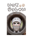 パンダ帽が可愛い猫 毎日気軽に使える BIG（個別スタンプ：17）