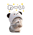 パンダ帽が可愛い猫 毎日気軽に使える BIG（個別スタンプ：20）