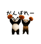 動く！パンダ＆レッサーパンダ（個別スタンプ：3）