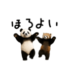 動く！パンダ＆レッサーパンダ（個別スタンプ：6）