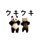 動く！パンダ＆レッサーパンダ（個別スタンプ：7）