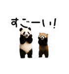 動く！パンダ＆レッサーパンダ（個別スタンプ：8）