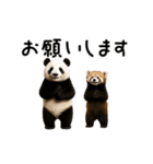 動く！パンダ＆レッサーパンダ（個別スタンプ：9）